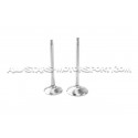 Kit de 24 soupapes Ferrea Competition Plus pour Nissan R35 GTR