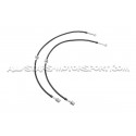Leon 3 Cupra with manual parking brake Goodridge Braided Brake Hose...