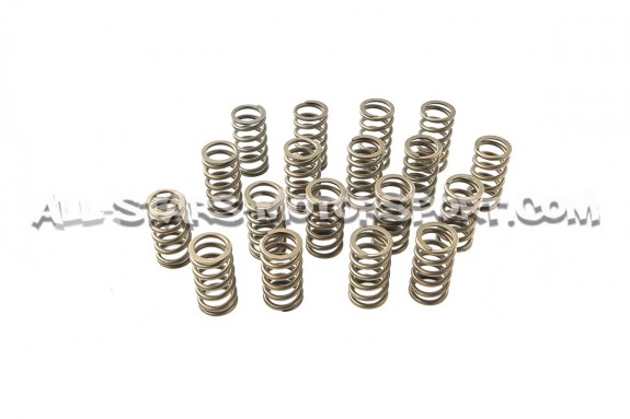 Kit de muelles y copelas de valvula Ferrea para Audi S4 / RS4 B5