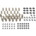 Kit ressorts et coupelles de soupape Ferrea pour Audi S4 / RS4 B5