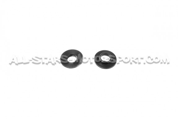 Kit de muelles y copelas de valvula Ferrea para Audi S4 / RS4 B5