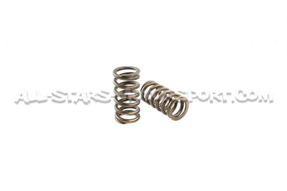 Ferrea Valve Springs and Retainers Kit for Audi S4 / RS4 B5