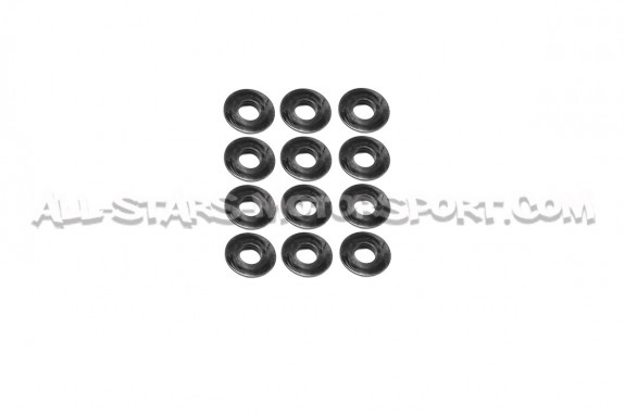 Ferrea Valve Springs and Retainers Kit for Audi S4 / RS4 B5