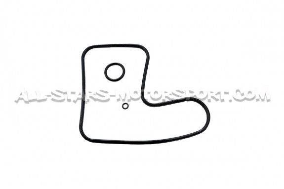 Kit de mantenimiento para oil catch can de Racingline