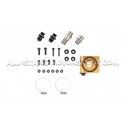 Mustang S550 GT V8 15-17 Mishimoto Oil Cooler Kit