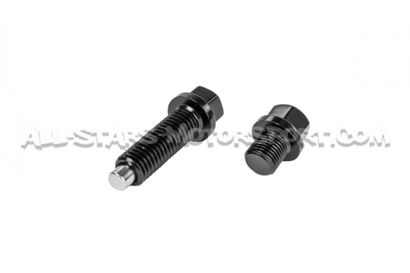 Bouchons d'huile de Haldex magnetique Racingline pour S1 / TT / TTR...