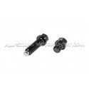 Tapones roscados magneticos Racingline para Haldex de S1 / TT / TTR...