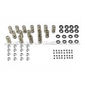 Ferrea Valve Springs and Retainers Kit for Honda Civic Type R FK2 /...
