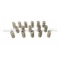 Ferrea Valve Springs and Retainers Kit for Honda Civic Type R FK2 / FK8 / FL5