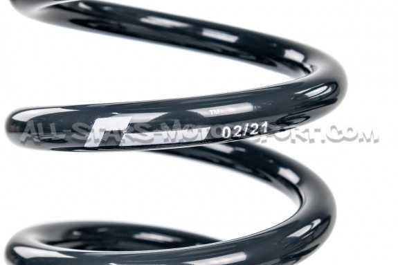 Golf 8 GTI Racingline -25mm Sport Springs