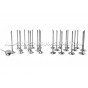 Kit de 24 valvulas Ferrea Competition Plus para BMW M3 E46
