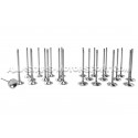 Kit de 24 valvulas Ferrea Competition Plus para BMW M3 E46