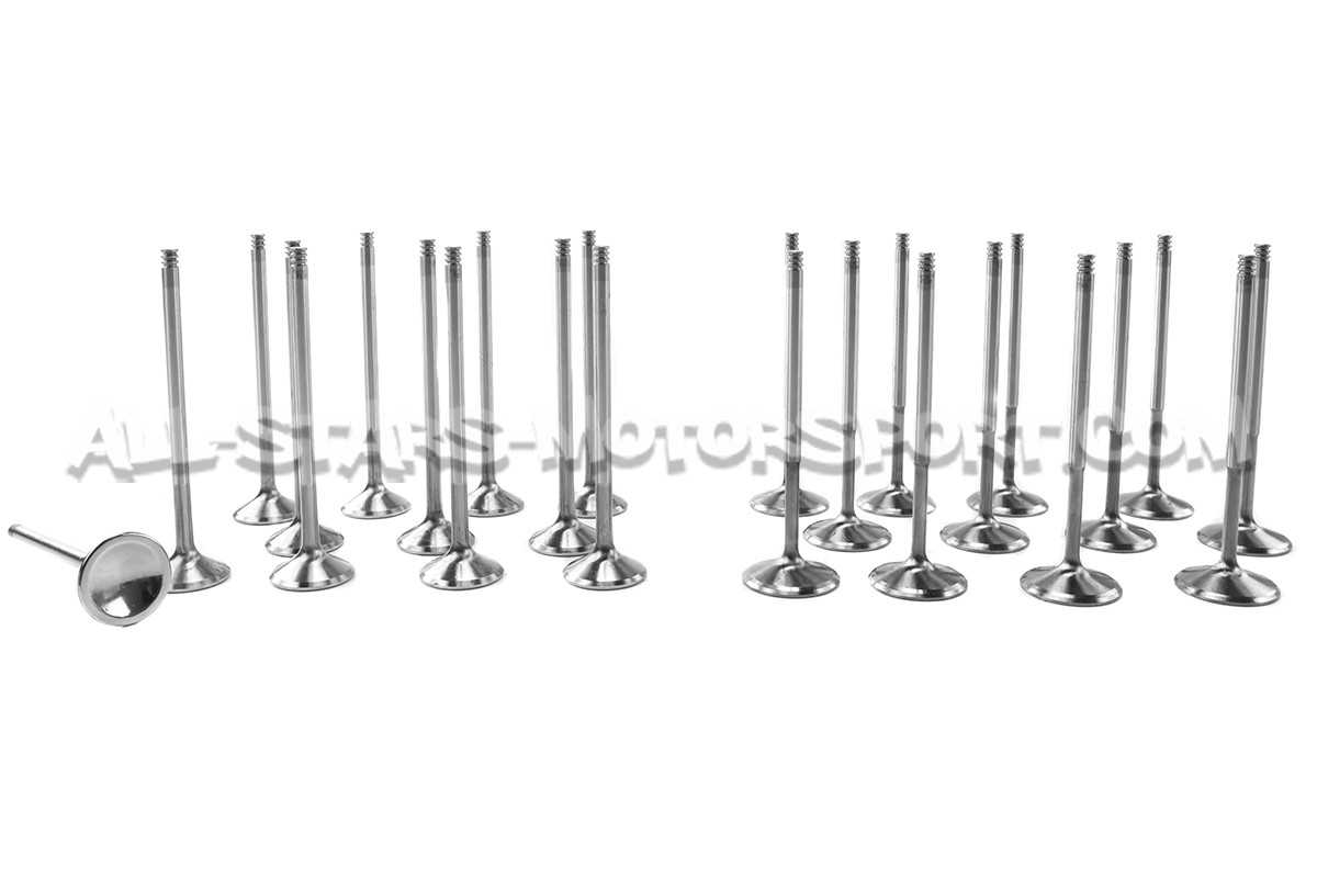 Kit de 24 válvulas Ferrea Competition Plus para BMW M3 E36