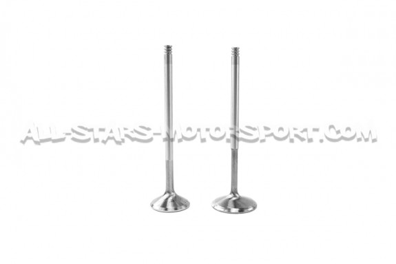 Kit de 24 valvulas Ferrea Competition Plus para BMW M3 E46