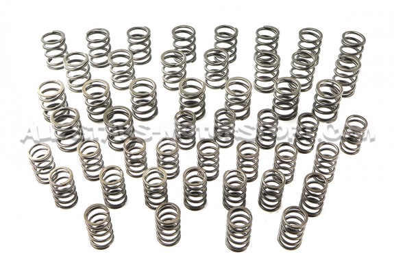 Ferrea Valve Springs and Retainers Kit for BMW M3 E46