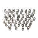 Ferrea Valve Springs and Retainers Kit for BMW M3 E46