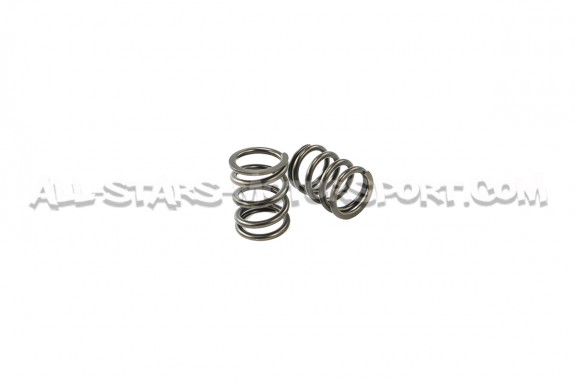 Ferrea Valve Springs and Retainers Kit for BMW M3 E46