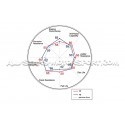 Disques de frein avants percés Dixcel FP pour Honda Civic Type R FK...