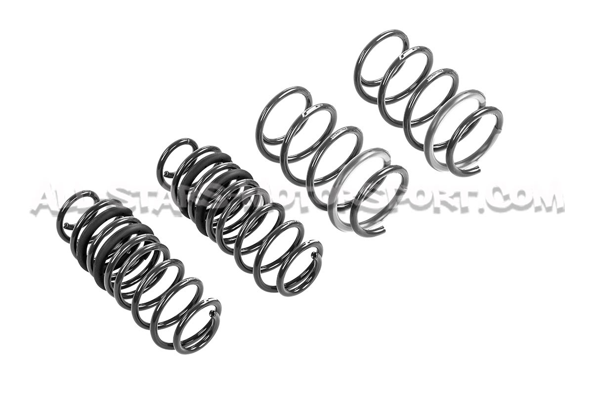 Kit ressorts courts Racingline -30mm pour Polo AW GTI