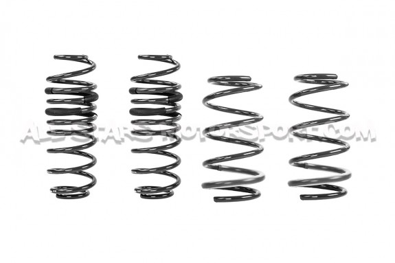 Polo AW GTI Racingline -30mm Sport Springs