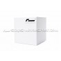 Kit ressorts courts Racingline -20mm pour Golf 8 R