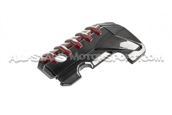 Audi RS3 8V.5 / TTRS 8S and RS3 8Y Eventuri Carbon Fiber / Red Kevl...
