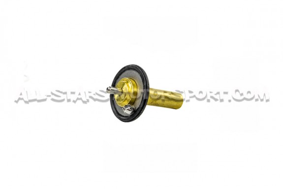 Thermostat Mishimoto pour Ford Fiesta ST MK7