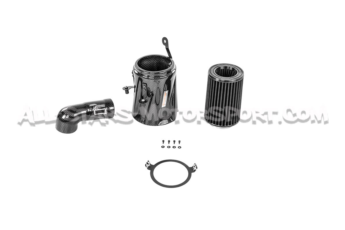 Ford Fiesta ST Mk7 180 Armaspeed Carbon Fiber Air Intake