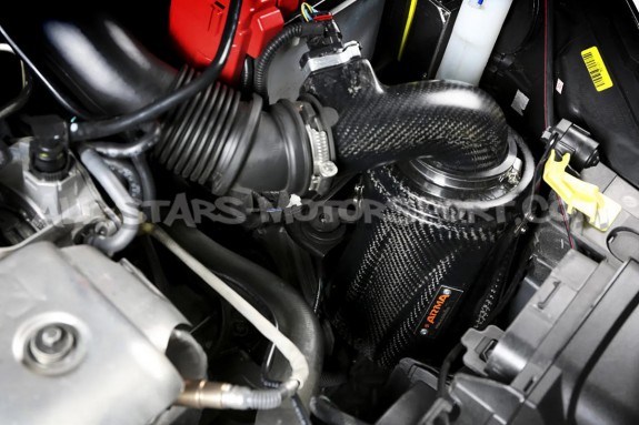 Admisión de fibra de carbono Armaspeed para Ford Fiesta ST Mk7 180