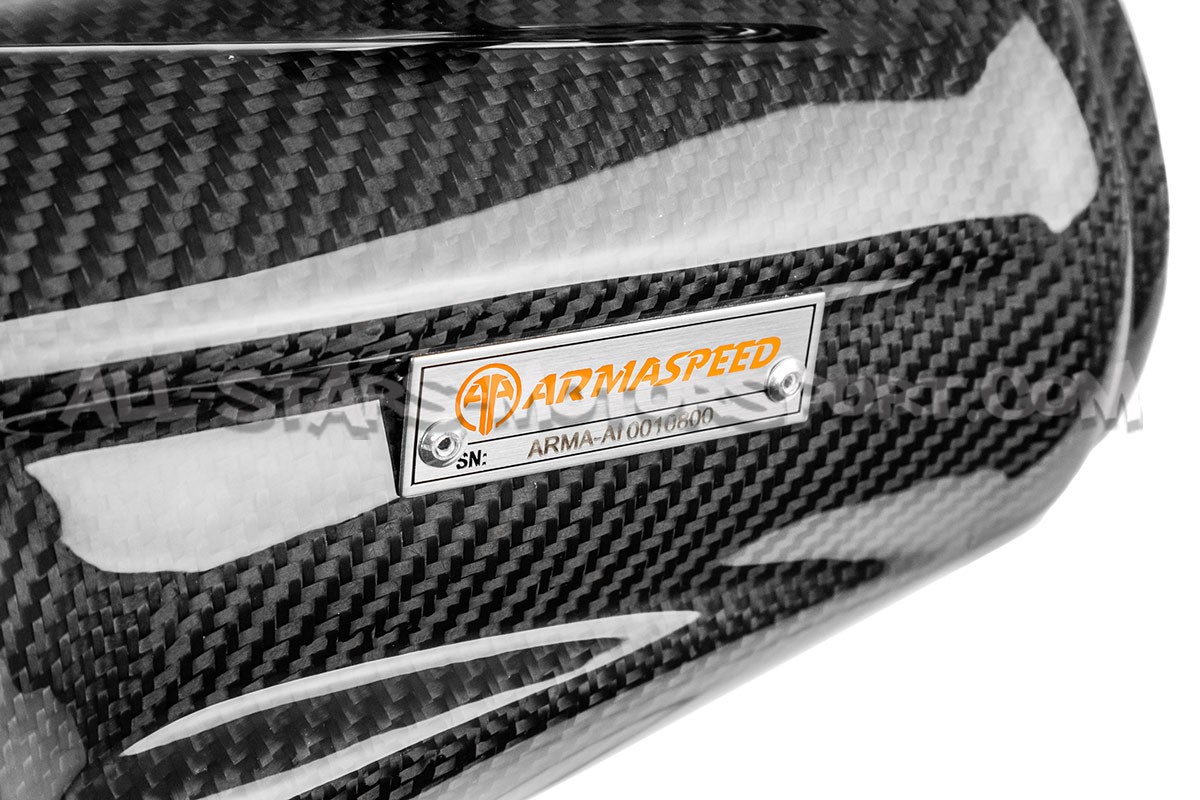 Ford Fiesta ST Mk7 180 Armaspeed Carbon Fiber Air Intake