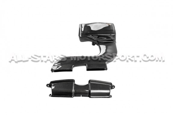 Admisión de fibra de carbono Armaspeed para BMW 335i E9x N54