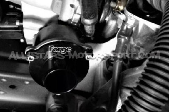 Turbo muffler delete Forge Motorsport pour Golf 8 GTI / Octavia NX ...