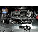 Mangueras de canister Alpha Competition para S3 8P / Golf 5 GTI / G...