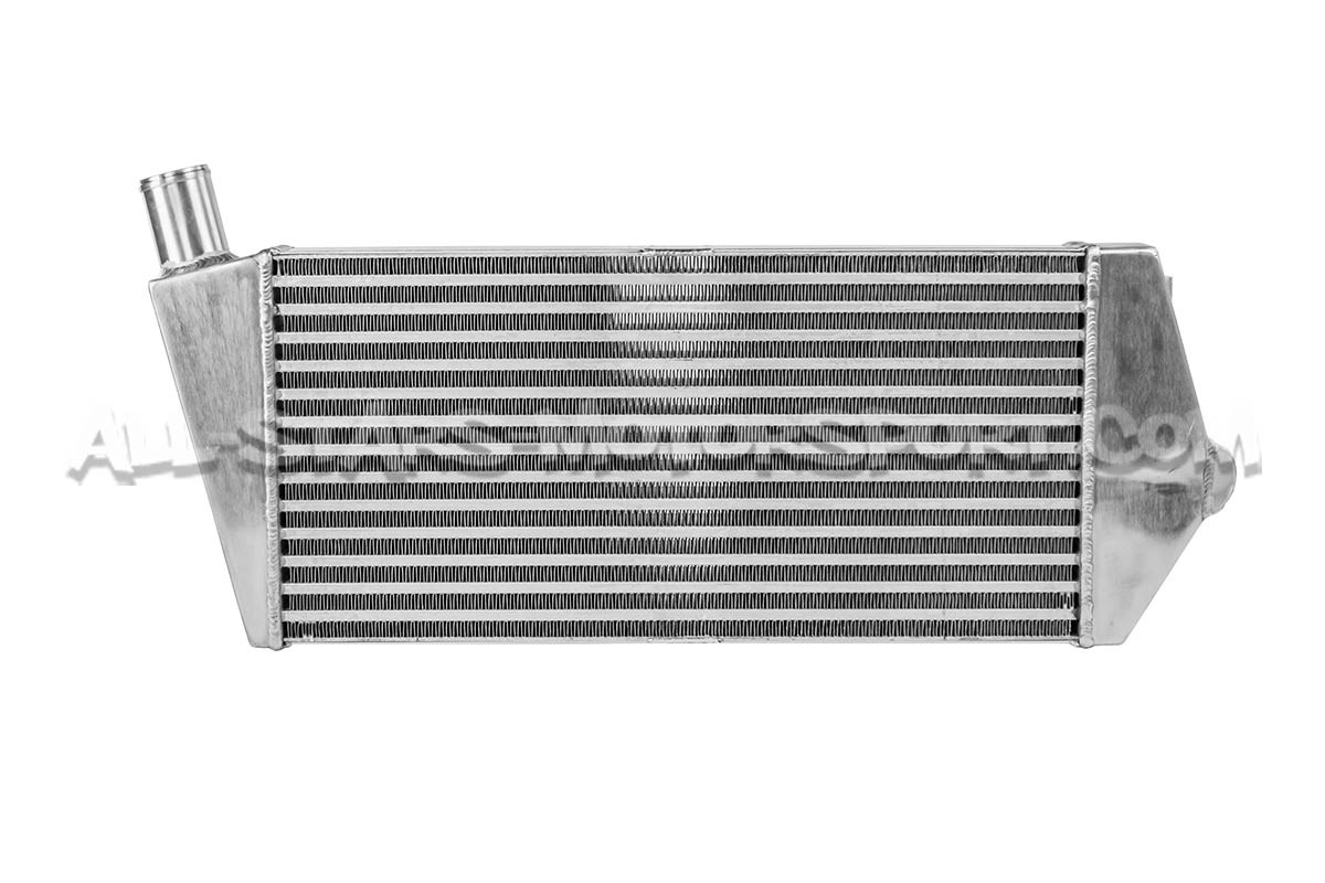 Echangeur Forge pour Renault Megane 2 RS