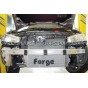 Intercambiador Forge para Renault Megane 2 RS