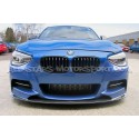 Intercambiador Forge para BMW 135i / 235i / 335i / 435i / M2 F2x F3x