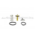 Thermostat Mishimoto pour Ford Fiesta ST MK7