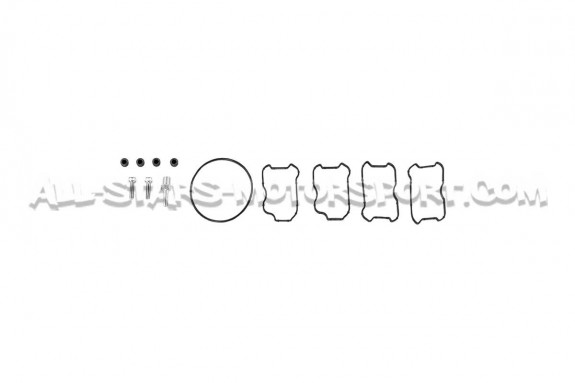 Collecteur d'admission Alpha Competition pour Audi S3 8V / S3 8Y / ...