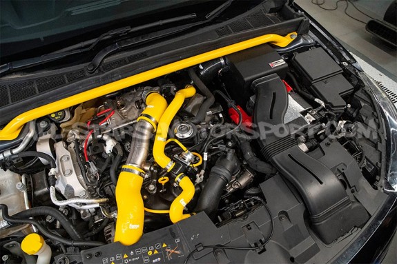 Renault Megane 4 RS Forge Motorsport Intake