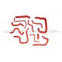 Durites de refroidissement silicone Alpha Competition pour Audi S1