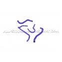 Mangueras de enfriamiento Alpha Competition para S3 8V / Leon 3 Cup...