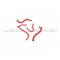Durites de refroidissement silicone Alpha Competition pour S3 8V / ...