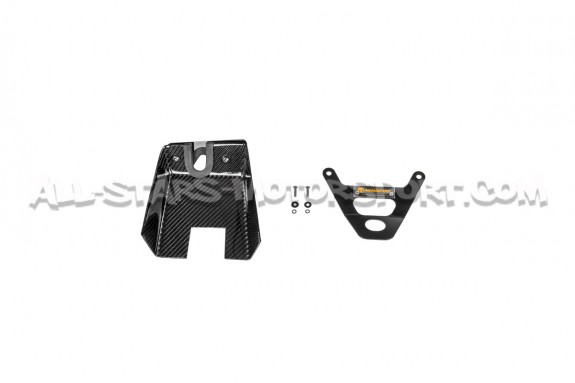 Admisión de fibra de carbono Armaspeed para BMW M135i / M235i F2x y 335i / 435i F3x N55