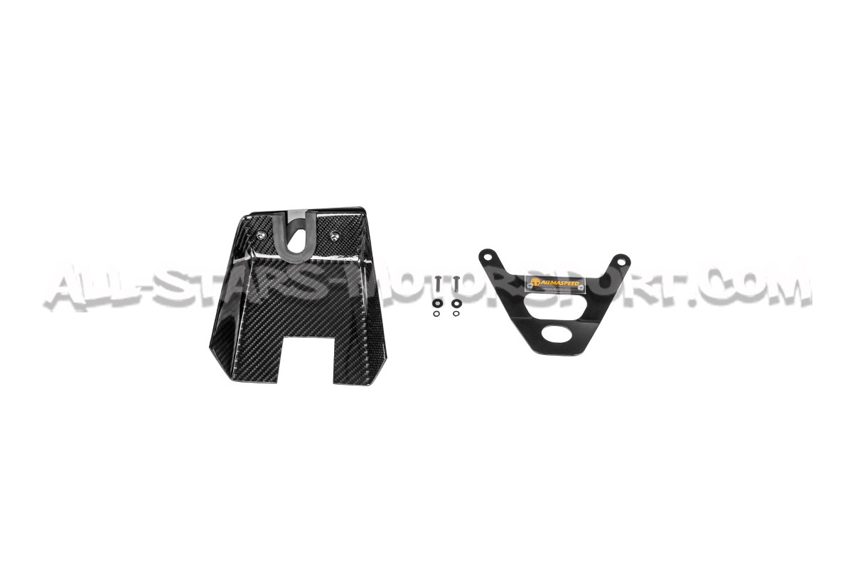 BMW M135i / M235i F2x and 335i / 435i F3x N55 Armaspeed Carbon Fiber Air Intake