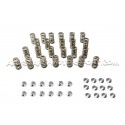 Kit de muelles y copelas de valvula Ferrea para BMW M3 F80 / M4 F8x...