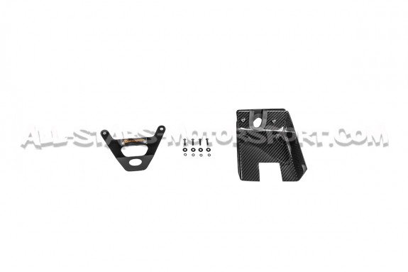 Admission carbone Armaspeed pour BMW M2 N55