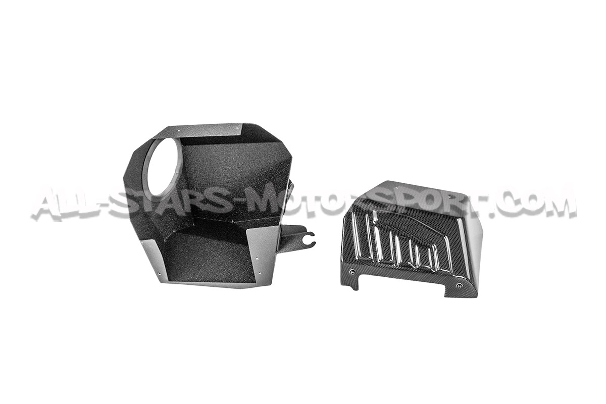 BMW M135i F40 Armaspeed Carbon Fiber Air Intake