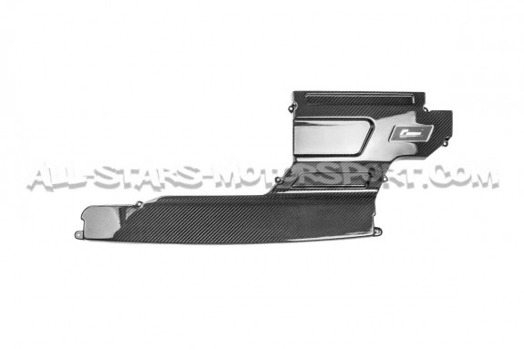 Tapa de admision Racingline R600 de carbono para Golf 7 GTI / Leon ...