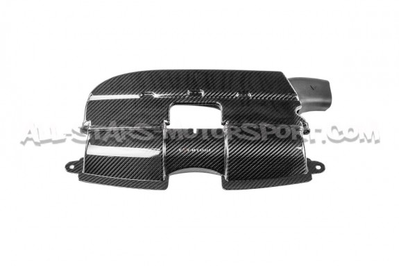 Difusores de aire de carbono Eventuri para BMW M3 E9x