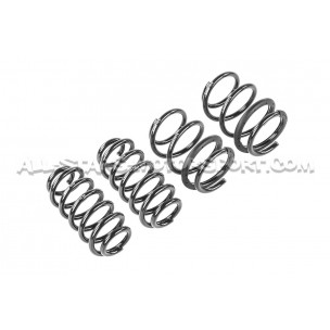 Ressort de soupape renforcé pour VW AUDI TT RS 2.5 20V TFSI Supertech